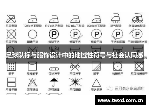 足球队标与服饰设计中的地域性符号与社会认同感
